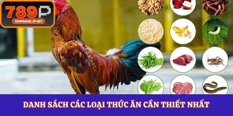 Danh sách các loại thức ăn cần thiết nhất